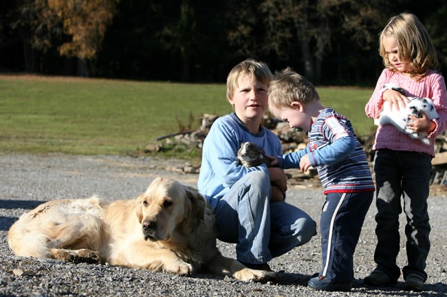 Kinder spielen mit unserem Hund