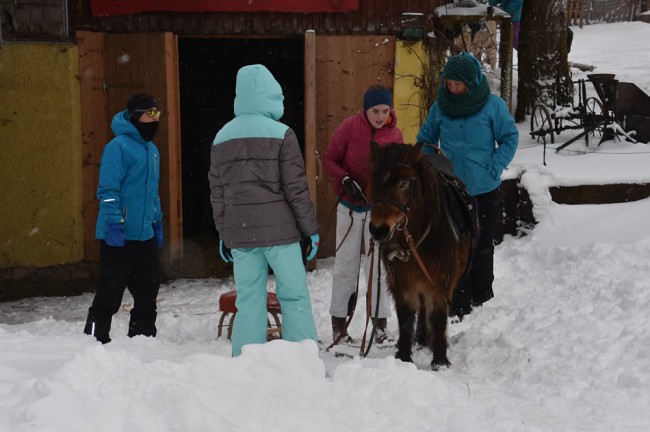 Unser Pony freut sich immer über Besuch