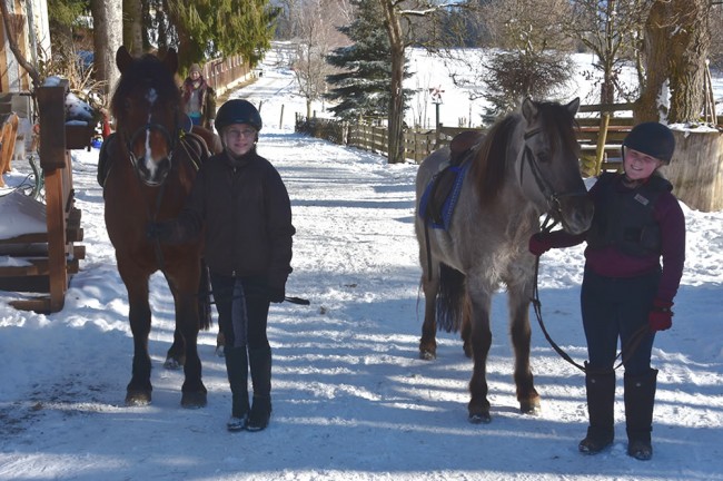 Reiten im Winter in Ramsau am Dachstein