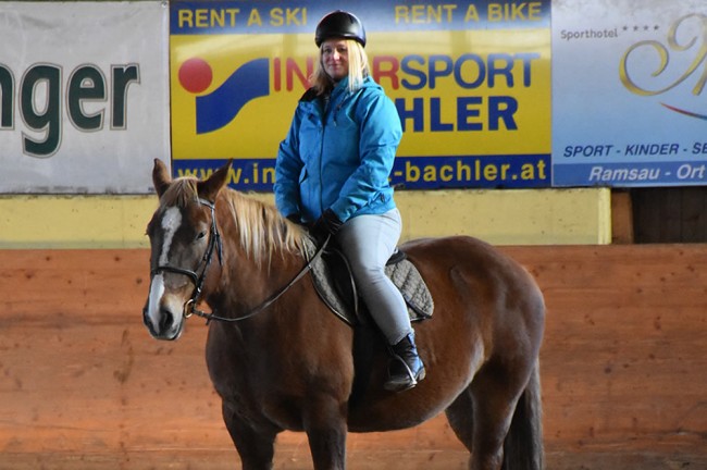 Reitunterricht für Beginner und Anfänger